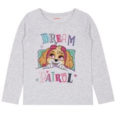 Paw Patrol 98
