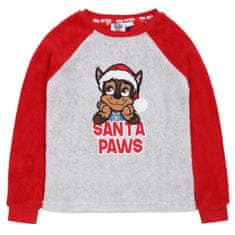 Paw Patrol 122