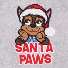 Paw Patrol 122