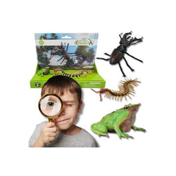 COLLECTA Collecta Komplet figuric insektov, figurice živali 3+