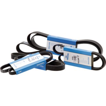 DAYCO Klinasti jermen z žlebi 8n 2065mm 87402831