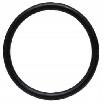 Oring Vicon PZ 64790081822F GRANIT 90081822