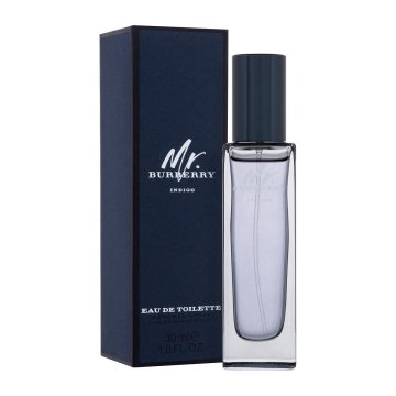 Burberry Mr. Burberry Indigo toaletna voda za moške