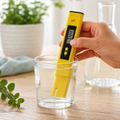 Elektronski pH-meter za pivo, vino, drozgo, fermentacijo vode ATC LCD