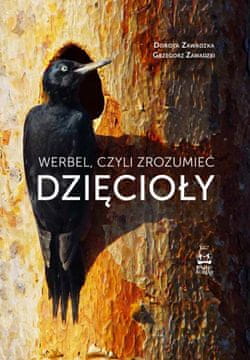 Bobnanje ali razumevanje žoln