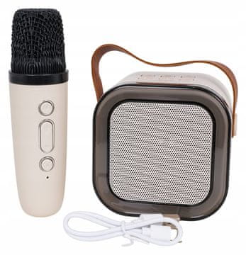 RAMIZ Karaoke mikrofon in zvočnik, stabilna Bluetooth povezava 5 0 funkcij