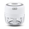Cool Mango mini USB sekljalnik za hitro sekljanje zelenjave in sadja, 100 ml - Minichop