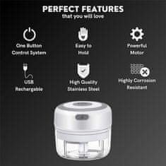 Cool Mango mini USB sekljalnik za hitro sekljanje zelenjave in sadja, 100 ml - Minichop