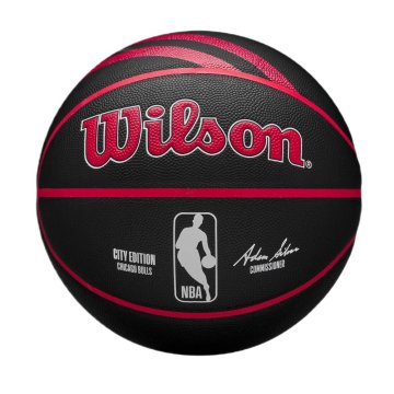 Wilson Žoga Nba Chicago Bulls Team City Collector WZ4024105