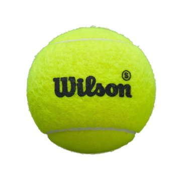 Wilson Žoge Wilson WR8909601X1