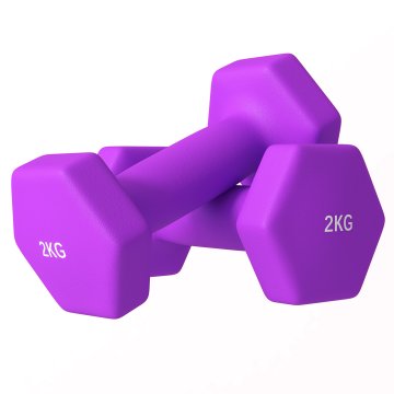 SPORTNOW Komplet 2 ročk 2x2 kg, komplet šestkotnih uteži za telovadbo iz kovine in neoprena z protizdrsnim ročajem, vadba moč fitnes doma za moške/ženske, vijolična