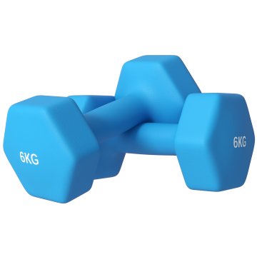 SPORTNOW Komplet 2 ročk za telovadnico 2x6 kg, komplet uteži za telovadnico šesterokotne iz kovine in neoprena s protidrsnim ročajem, trening moči fitness doma za moške/ženske, modra