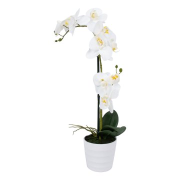 Homestar Orhideja veter v vrtu 51 cm bela
