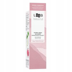 AA LB 100% Centella B12 vlažilna in pomirjujoča hidro-krema za dnevno uporabo 40 ml