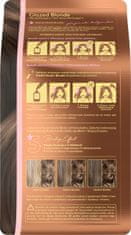 4Stars Barva za lase odtenek, št. 7.3 Glazirana blond 1 kos.