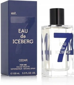 Iceberg Eau de Cedar toaletna voda za moške 100 ml