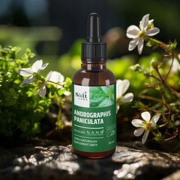 Izvleček nano Andrographis Paniculata 5:1 1 kos.