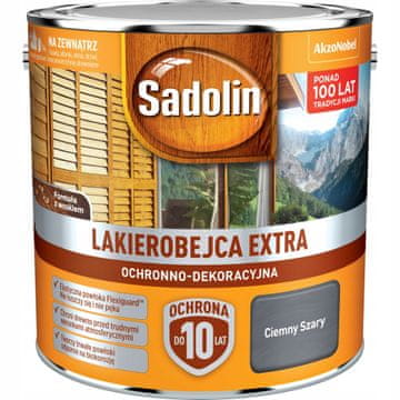 EXTRA temno siva barva za lak 2,5 l 1 kos.