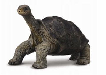 COLLECTA Zbirateljska figurica , želva otok Pinta, 3+; 1 kos