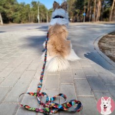 TRPEŽNA ovratnica z zaponko za majhnega psa ali mladička S 15 mm BARVITA