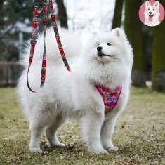 Ovratnica SWEET za mačke 24-30 cm z nastavitvijo, vzorec ROZA SRCA