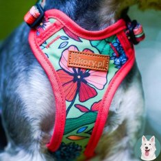 Oprsnica SAFE GUARD za majhnega psa pasme cockapoo španjel S/M 20 mm
