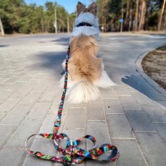 Protipobegni oprsnik GUARD za majhnega terierja S/M 20 mm JUNGLE