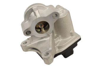 FAST FT60244 HITR EGR VENTIL