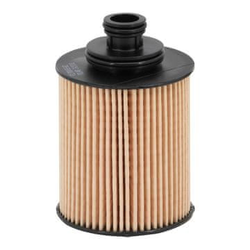 Filtron OLJNI FILTER FIAT DOBLO 09> 1.3 JTD
