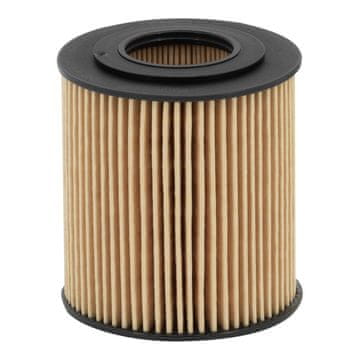 Filtron OLJNI FILTER BMW 3 E36 94> E90 320 si