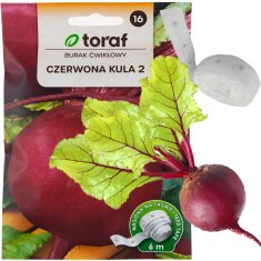 33 Semena rdeče pese na semenskem traku Red Ball 6 m T8001