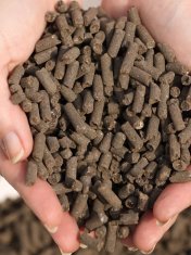 33 BIO17 Naravno goveje gnojilo granulirano organsko gnojilo v obliki granul Optima 5 l biovita
