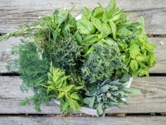 33 Aromatična mešanica kuhinjskih zelišč, bazilika, timijan in druga semena, Z7172 1 g