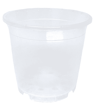 Import Amazone prozoren proizvodni lonec 15 cm