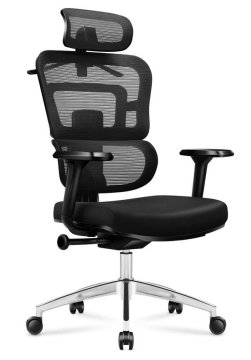 Pisarniški stol Mark Adler Expert 4.9 črne barve
