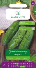Legutko Poljska kumara - vložena Hobotnica F1 srednje zgodnja