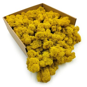 Jelenov mah - finski - očiščen - rumen 250 g neto
