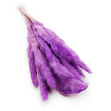 Mini pampas trava - vijolična