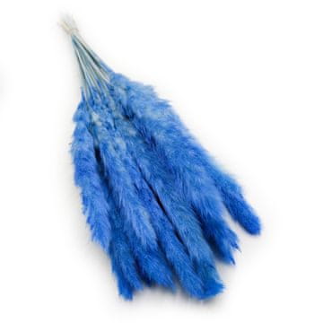 Mini pampas trava - modra