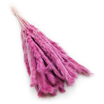 Mini pampas trava - resje
