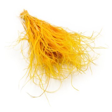 Posušena stipa - Stipa pennata - ingver