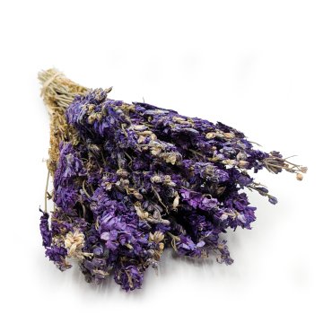 Posušeni delfinij - (Delphinium) - moder