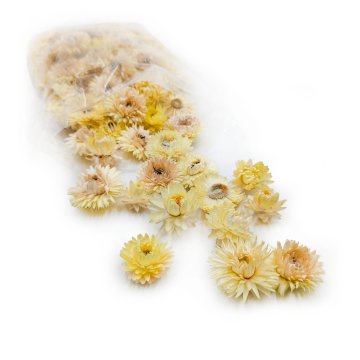 Posušeni smilj - Glavice - (Helichrysum) - Limona