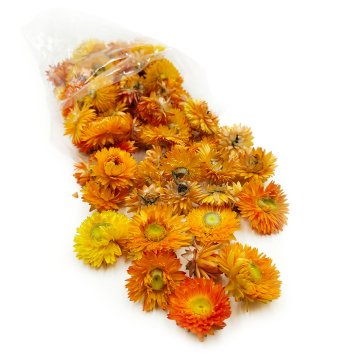 Posušeni smilj - Glavice - (Helichrysum) - Oranžna