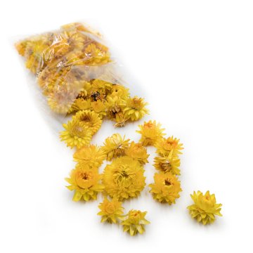 Posušeni smilj - Glavice - (Helichrysum) - Rumen
