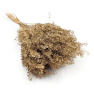 Lepidium (Lepidium sativum) - zlati