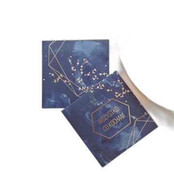 Indigo CD ovojnice - komplet 50 kosov