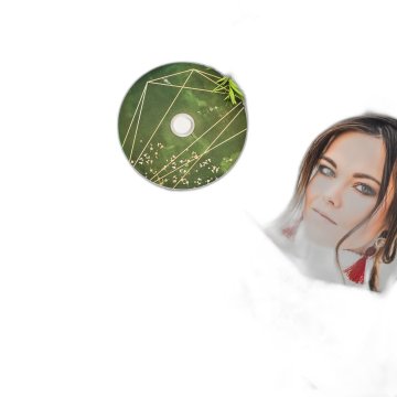 DVD z božičnim zelenjem - komplet 10 kosov