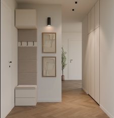 HAGA 1W2S Garderobna omara, 2 predala, obešalnik, za hodnik, kašmir bež, 238x50x35