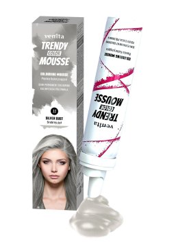 Venita Trendy Color 11 Srebrna pena za prah